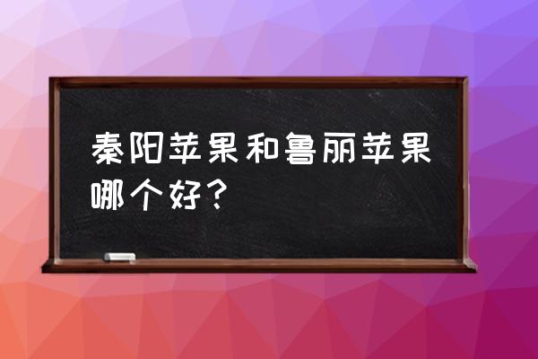 不套袋苹果新品种 秦阳苹果和鲁丽苹果哪个好？