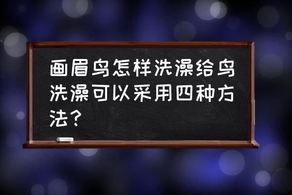 蛋鸡饥饿换羽的方法 画眉鸟怎样洗澡给鸟洗澡可以采用四种方法？