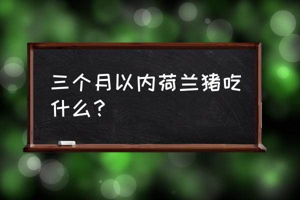 婴儿吃蓝莓禁忌 三个月以内荷兰猪吃什么？