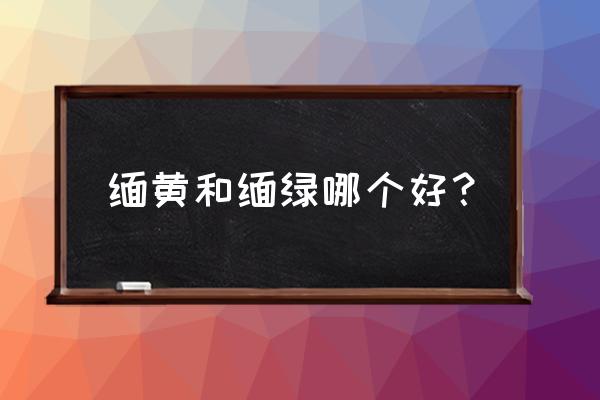 缅甸翡翠分为几种颜色 缅黄和缅绿哪个好？