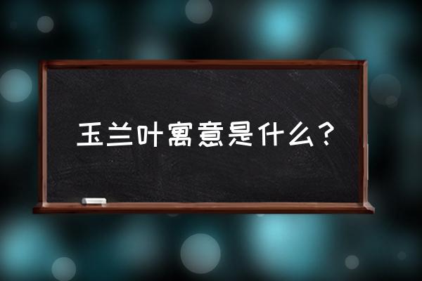 玉兰树叶煮水的功效与作用 玉兰叶寓意是什么？