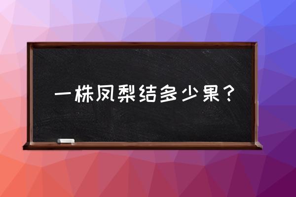 一棵凤梨一年长几个果 一株凤梨结多少果？