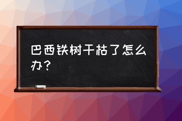 巴西铁树养殖小妙招大全 巴西铁树干枯了怎么办？