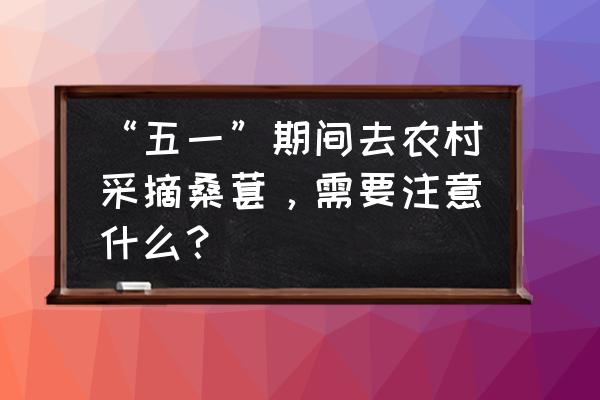 刚摘的桑葚怎么处理 “五一”期间去农村采摘桑葚，需要注意什么？