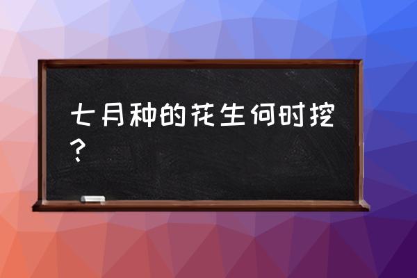 七月种秋花生怎么种 七月种的花生何时挖？