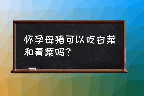 怀孕母猪后期饲养管理教程 怀孕母猪可以吃白菜和青菜吗？