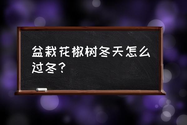 花椒账号怎么找回 盆栽花椒树冬天怎么过冬？