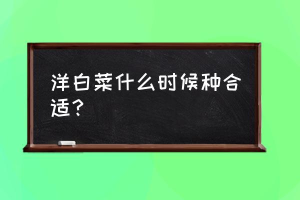 洋白菜的种植时间和技术 洋白菜什么时候种合适？