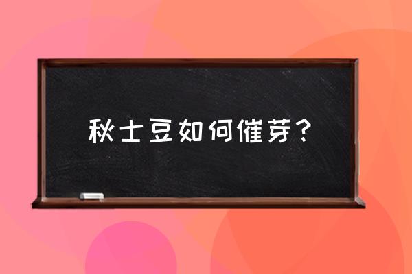 马铃薯最短的催芽方法 秋士豆如何催芽？