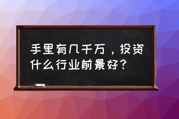 在未来的投资中需要做些什么 手里有几千万，投资什么行业前景好？