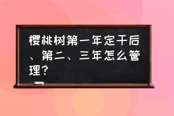 三四年樱桃树要怎么浇水 樱桃树第一年定干后、第二、三年怎么管理？