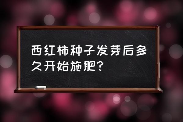 大棚番茄底肥上多少钾肥为好 西红柿种子发芽后多久开始施肥？