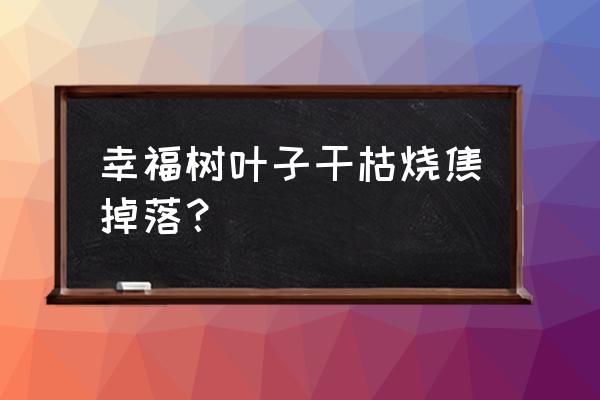 缺氮的植物怎么办 幸福树叶子干枯烧焦掉落？