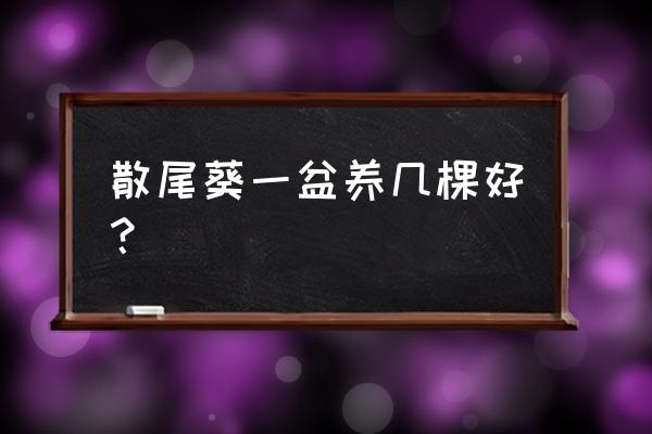 散尾葵的正确繁殖方法 散尾葵一盆养几棵好？