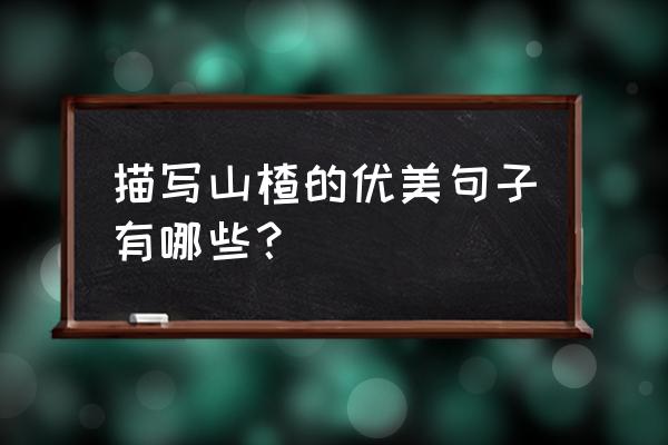 春天吃山楂有哪些好处 描写山楂的优美句子有哪些？