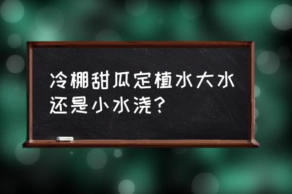 甜瓜浇水的正确方法 冷棚甜瓜定植水大水还是小水浇？