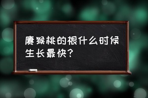 促进根系生长的措施 猕猴桃的根什么时候生长最快？