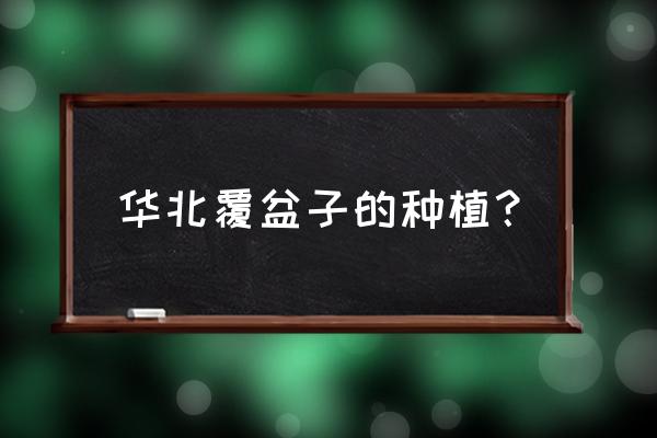 覆盆子种植条件有哪些 华北覆盆子的种植？