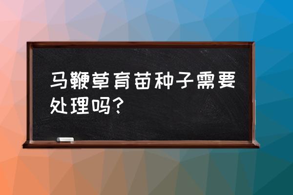 马鞭草育苗详细过程 马鞭草育苗种子需要处理吗？