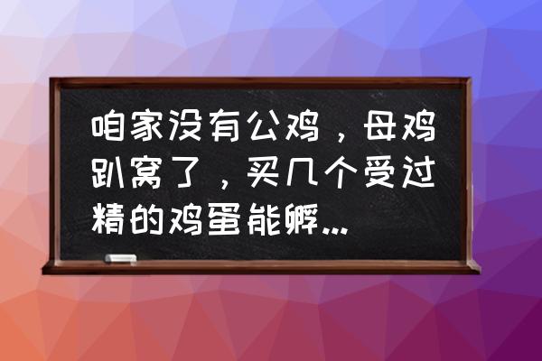 我的世界全自动养鸡场有几种 咱家没有公鸡，母鸡趴窝了，买几个受过精的鸡蛋能孵出小鸡吗？