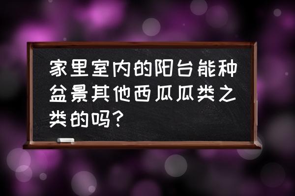 西瓜育苗营养盘 家里室内的阳台能种盆景其他西瓜瓜类之类的吗？