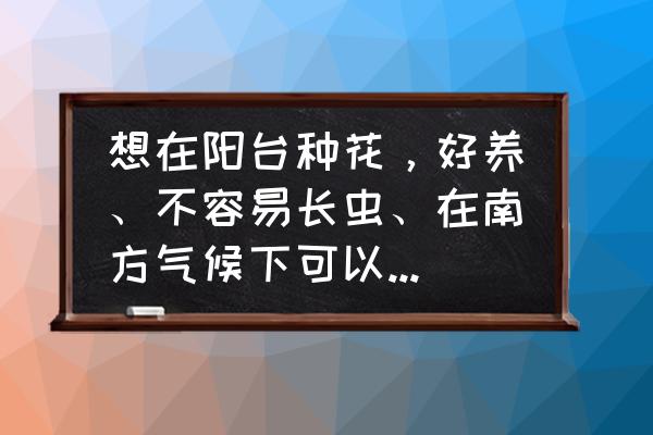 适合南方春天种植的花 想在阳台种花，好养、不容易长虫、在南方气候下可以四季常开的，什么花好？