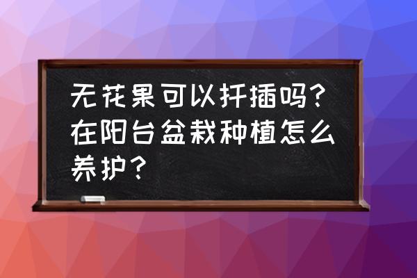 家庭阳台上能种盆栽无花果吗 无花果可以扦插吗？在阳台盆栽种植怎么养护？