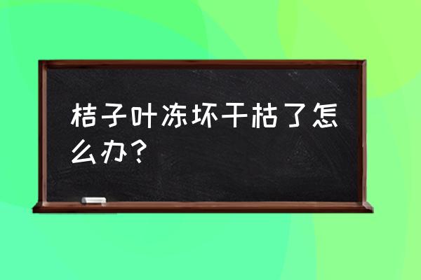 两年的桔子树怎么过冬 桔子叶冻坏干枯了怎么办？