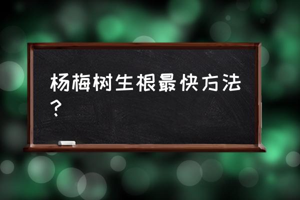 杨梅树是怎么样的 杨梅树生根最快方法？