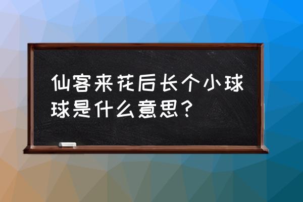 仙客来开完花种球怎么保存 仙客来花后长个小球球是什么意思？