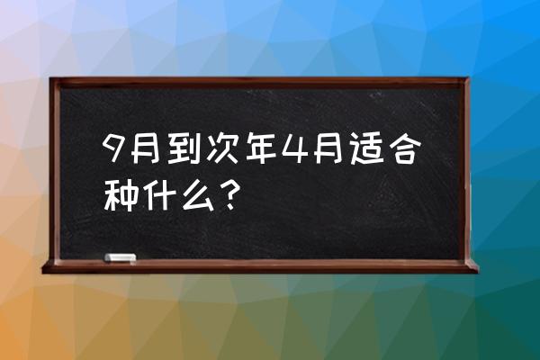 益母草几月份收获最好 9月到次年4月适合种什么？