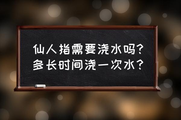 仙人指花期养殖方法及注意事项 仙人指需要浇水吗？多长时间浇一次水？