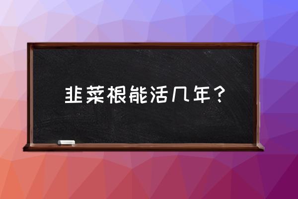 韭菜根煮水能治啥病 韭菜根能活几年？