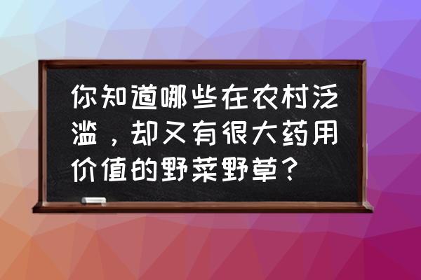 干救心菜的做法 你知道哪些在农村泛滥，却又有很大药用价值的野菜野草？