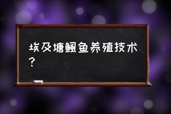 养塘鲺鱼什么方法好 埃及塘鲺鱼养殖技术？