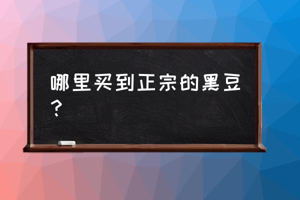 黑豆分几种哪种黑豆好 哪里买到正宗的黑豆？