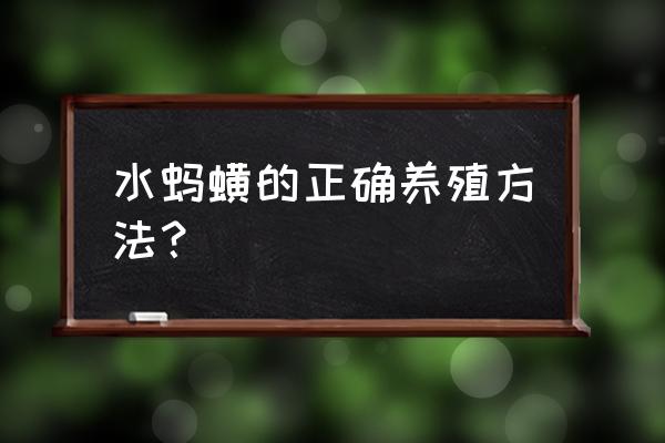 水蛭的养殖技术有哪些 水蚂蟥的正确养殖方法？