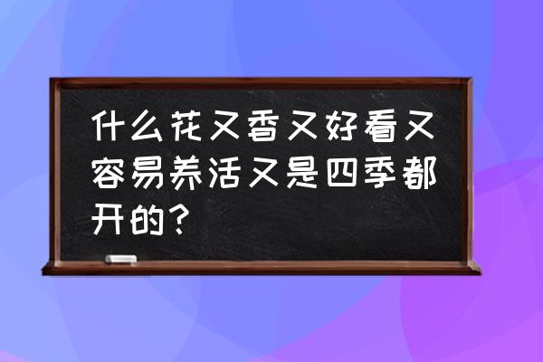 一年四季都开花又好养又便宜的花 什么花又香又好看又容易养活又是四季都开的？