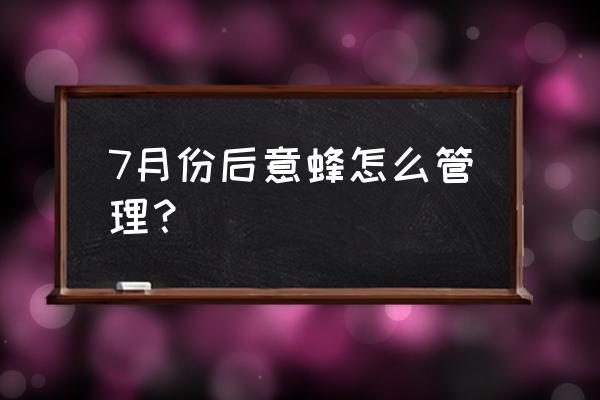 意蜂十二个月的管理 7月份后意蜂怎么管理？