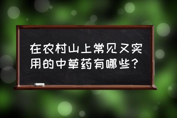 二十种农村常见草药 在农村山上常见又实用的中草药有哪些？