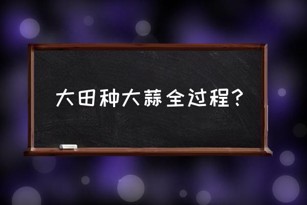 二十种大蒜种植方法 大田种大蒜全过程？