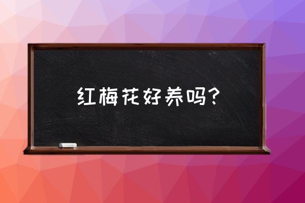 梅花病害及解决方法 红梅花好养吗？