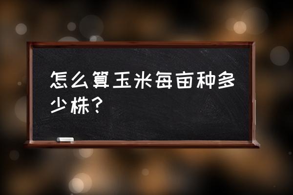 怎么计算每亩种玉米的株数 怎么算玉米每亩种多少株？