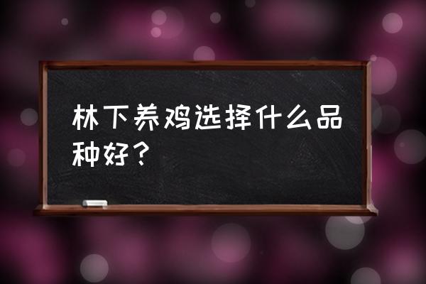 林下养鸡什么最好 林下养鸡选择什么品种好？