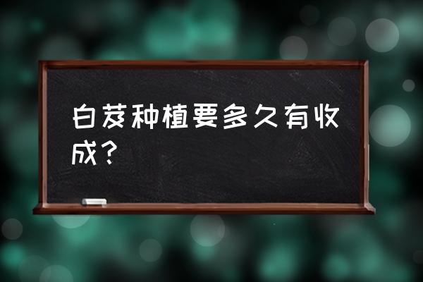 朱兰适合室内养殖吗 白芨种植要多久有收成？