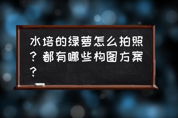 怎么让图片上的树动起来 水培的绿萝怎么拍照？都有哪些构图方案？