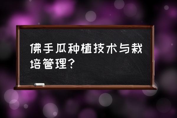 怎么种佛手瓜苗长得好 佛手瓜种植技术与栽培管理？