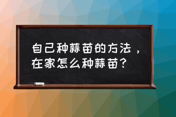 家庭种植蒜苗小妙招 自己种蒜苗的方法，在家怎么种蒜苗？