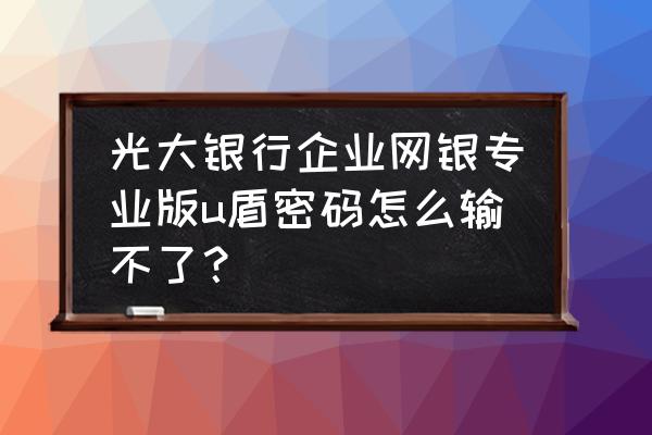 中国光大银行网上银行登录官网 光大银行企业网银专业版u盾密码怎么输不了？