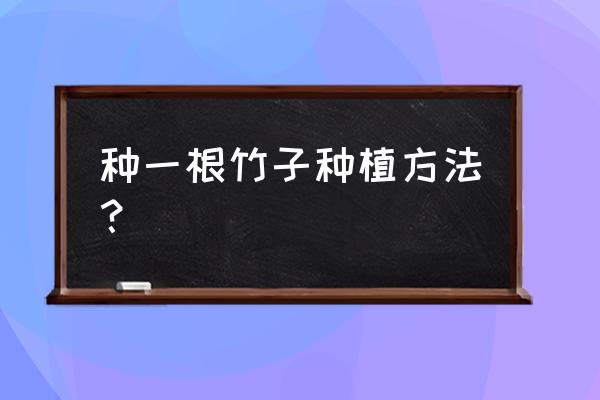 富贵竹怎么种最好 种一根竹子种植方法？